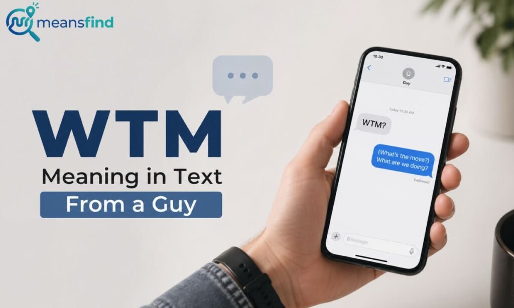 WTM Meaning in Text From a Guy