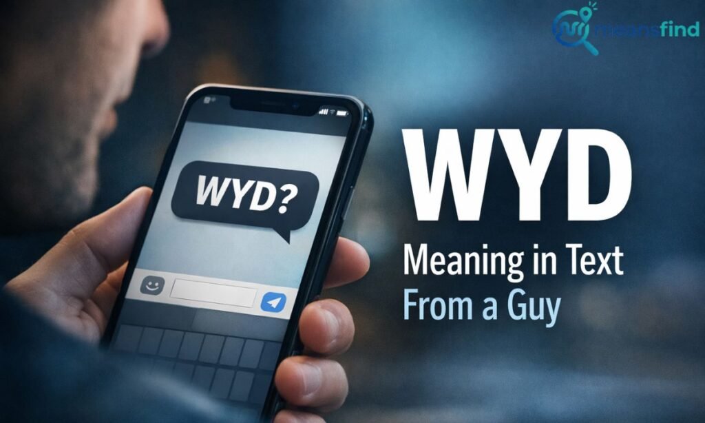 WYD Meaning in Text From a Guy