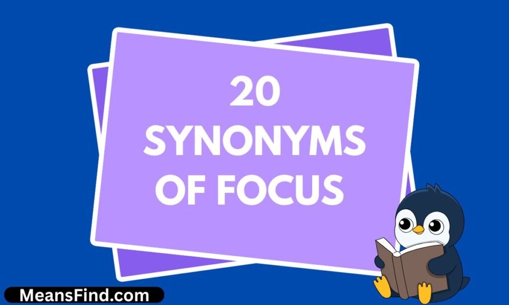 20 Synonyms of Focus