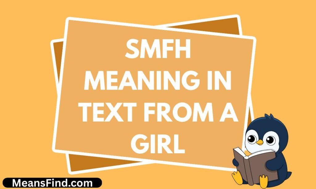 SMFH Meaning in Text From a Girl