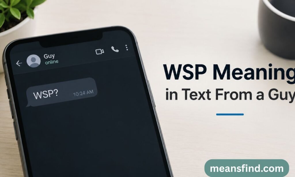 WSP Meaning in Text From a Guy
