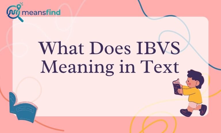 IBVS Meaning in Text