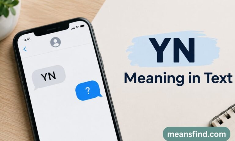YN Meaning in Text